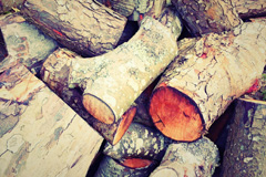 Laney Green wood burning boiler costs